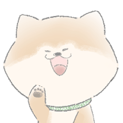 [LINEスタンプ] なにわのゆるい柴犬きなこです。『関西弁』