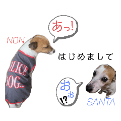 [LINEスタンプ] のんちゃんの日々Withサンタくん