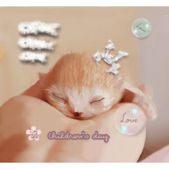 [LINEスタンプ] 【加工用】子供の日♪ メロメロ写真(^^)