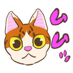 [LINEスタンプ] ニャンカル！スタンプ