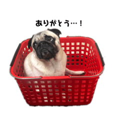 [LINEスタンプ] 人間にはモテる