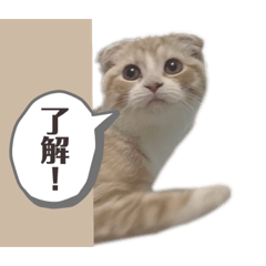 [LINEスタンプ] とろみの幸せが全て