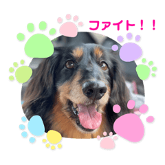 [LINEスタンプ] そらの日常 part3