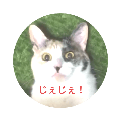 [LINEスタンプ] 家もんすたんぷgicoazickatze ギコアヂク
