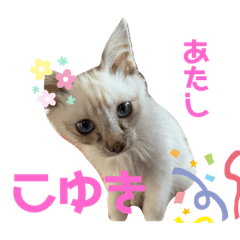 [LINEスタンプ] こゆちのスタンプ