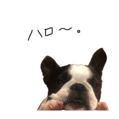 [LINEスタンプ] おべべあろは