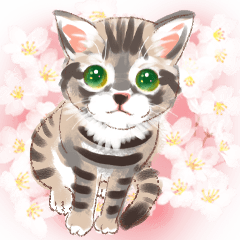 [LINEスタンプ] ねこ全開・BIG