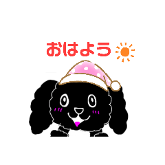 [LINEスタンプ] トイプードルの1日❤︎(よく使う言葉)