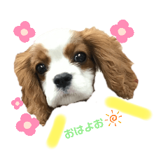 [LINEスタンプ] ぱぴとろ