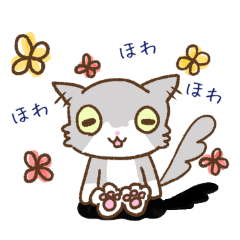 [LINEスタンプ] 猫だよキルちゃん☆あいさつ編