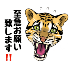 [LINEスタンプ] ビッグキャットな日常敬語丁寧語