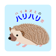 [LINEスタンプ] ハリネズミのハリハリ君 静止画版