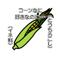 [LINEスタンプ] 野菜ですが何科？②