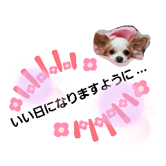 [LINEスタンプ] ほのぼのクーピー3