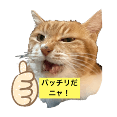 [LINEスタンプ] おはなでーす ver2