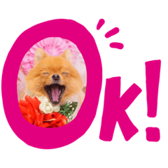 [LINEスタンプ] ポメラニアンわさびチャン2