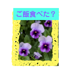 [LINEスタンプ] 花咲いたよ