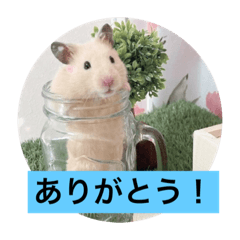 [LINEスタンプ] 太郎ちゃんの日常バージョン3