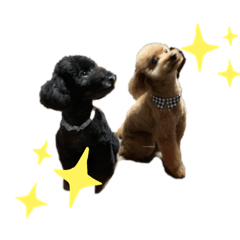 [LINEスタンプ] りっきーはっぴー