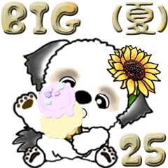 [LINEスタンプ] 【Big】シーズー犬25『夏』