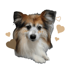 [LINEスタンプ] チョコすたんぷ‪‪☺︎‬