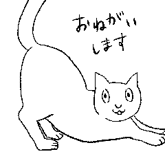 [LINEスタンプ] 無邪気な猫のアニメスタンプ