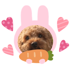 [LINEスタンプ] かわいすぎるーーーーーーーーーーーー