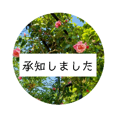 [LINEスタンプ] 花の写真でよく使う言葉 敬語と日常