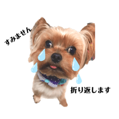 [LINEスタンプ] トイしか勝たん 敬語