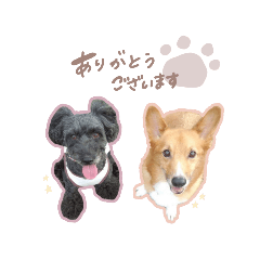[LINEスタンプ] 幸福゜スタンプ