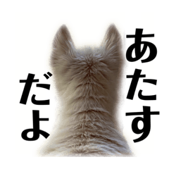 [LINEスタンプ] あたすのスタンプだよ
