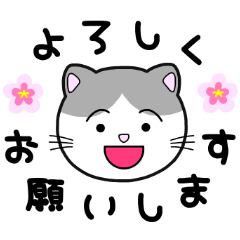 [LINEスタンプ] シンプル猫スタンプ①〜段活用編〜