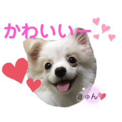 [LINEスタンプ] ベティー＆チャッピー③