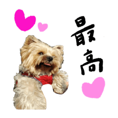 [LINEスタンプ] ライムちゃん4