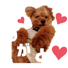 [LINEスタンプ] トイプースタンプ ぷーちゃん