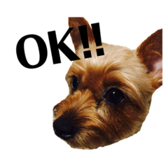[LINEスタンプ] renrenmozuku