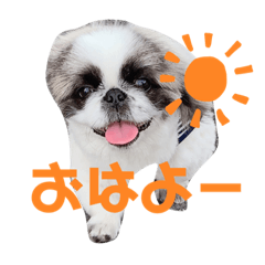 [LINEスタンプ] たぽ2