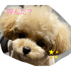 [LINEスタンプ] わわの日常2