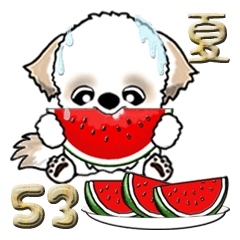 [LINEスタンプ] シーズー犬53『夏』