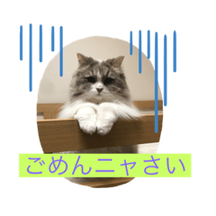 [LINEスタンプ] りんみか5