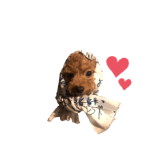 [LINEスタンプ] 犬のちっぷ隊長