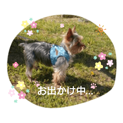 [LINEスタンプ] ヨーキー  ラフラの日常