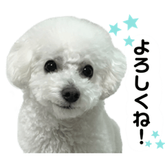 [LINEスタンプ] るくサん