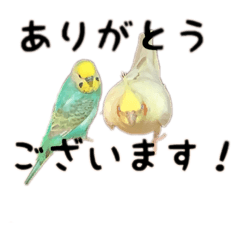 [LINEスタンプ] リロルルさんちの日常。使えるスタンプ