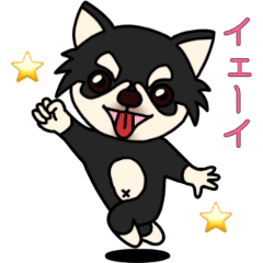 [LINEスタンプ] チワワのこころ(ブラタン) 応用パック