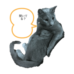 [LINEスタンプ] ドジはる