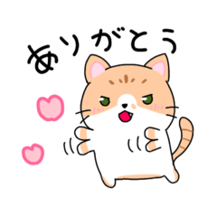 [LINEスタンプ] ゆるかわ 癒しのねこ