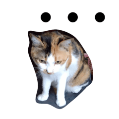 [LINEスタンプ] キャラメルpart5