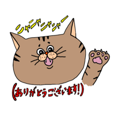 [LINEスタンプ] 猫ちゃんこ人猫スタンプ