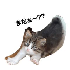 [LINEスタンプ] マメと仲間
